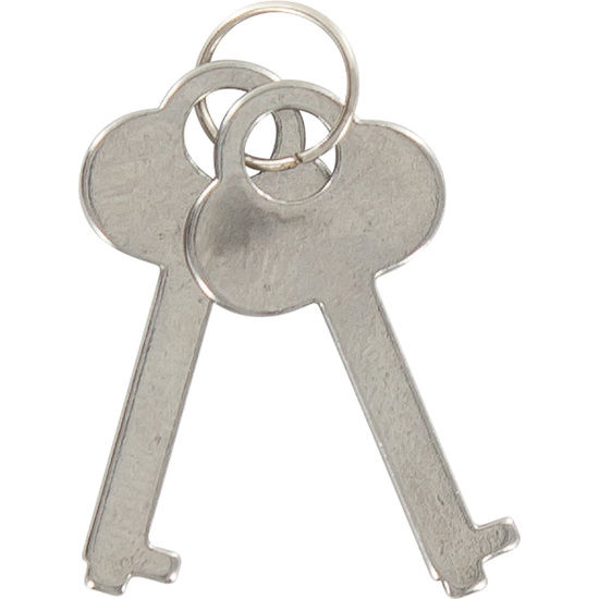 TOYJOY – POLSINI IN METALLO